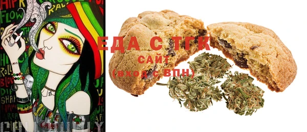 индика Надым