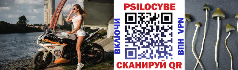 Купить где  Лахденпохья  Галлюциногенные грибы Psilocybe 